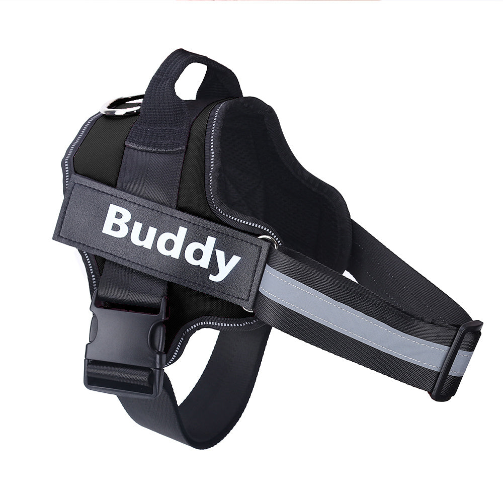 Black dog harness with 'Buddy' label on a white background