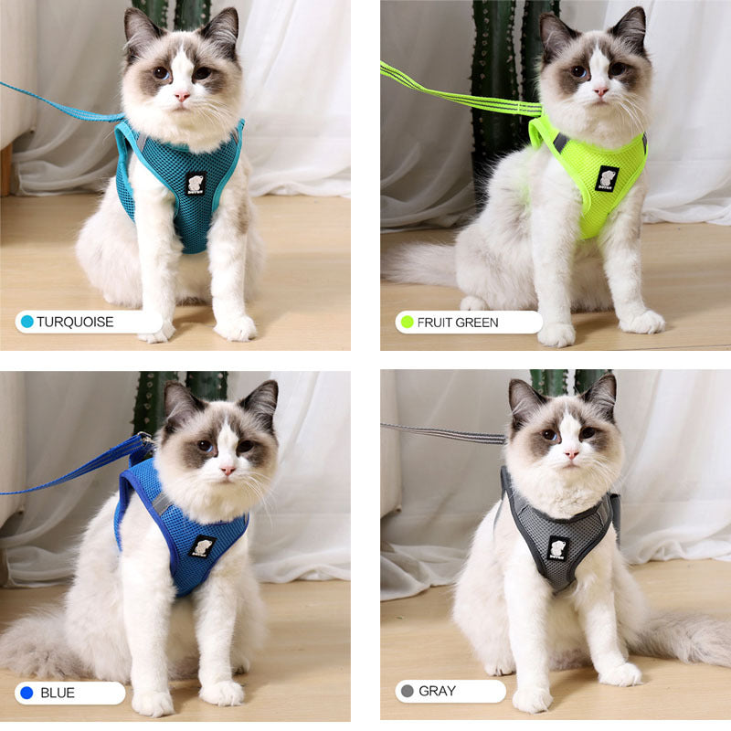 Color options for DOTON cat harness – turquoise, blue, fruit green, gray