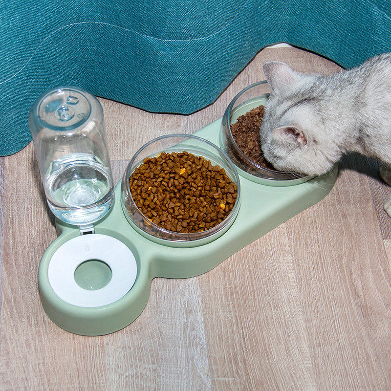 Cat eating from double pet bowl with automatic water dispenser – green feeding station for cats and small dogs
