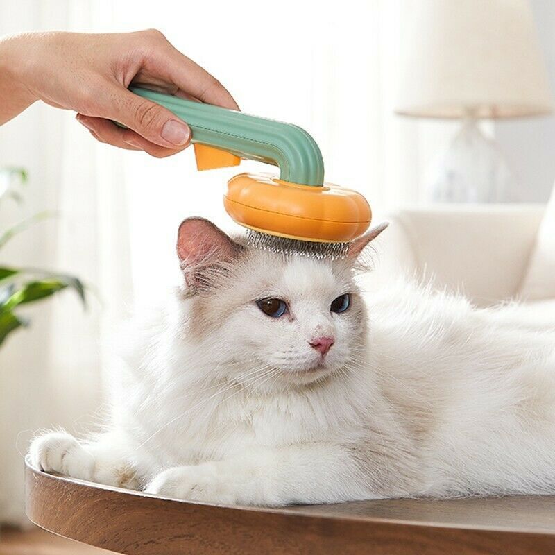 A hand holding a self-cleaning grooming brush over a white cat sitting on a wooden table.