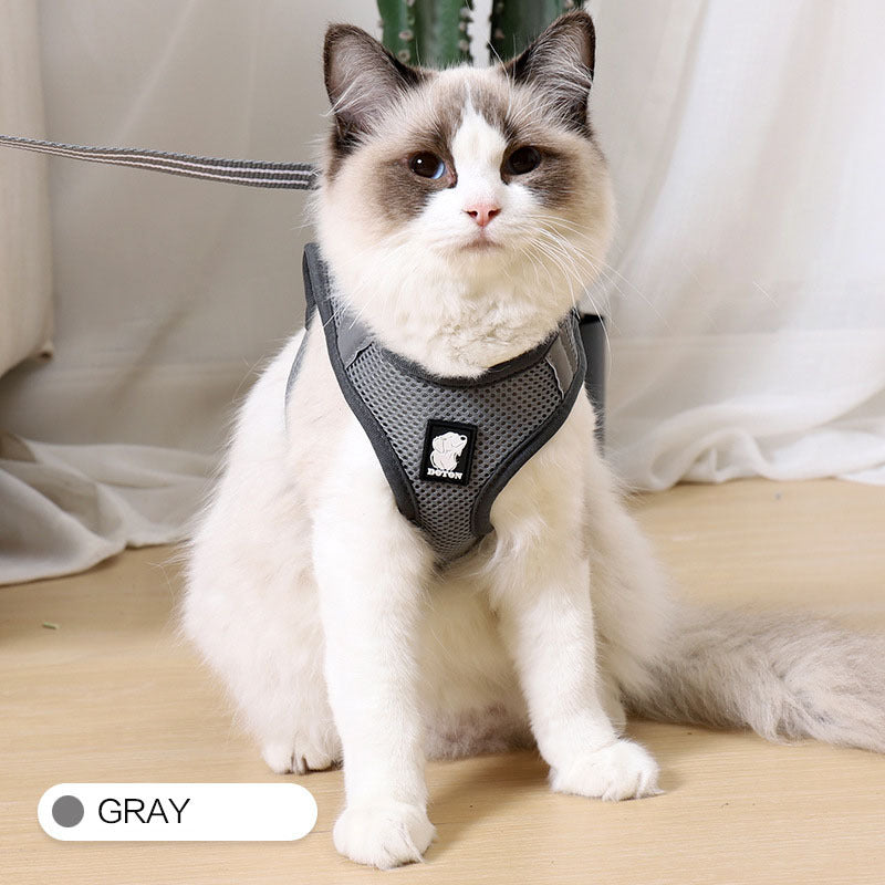 White cat wearing gray breathable DOTON harness – relaxed posture