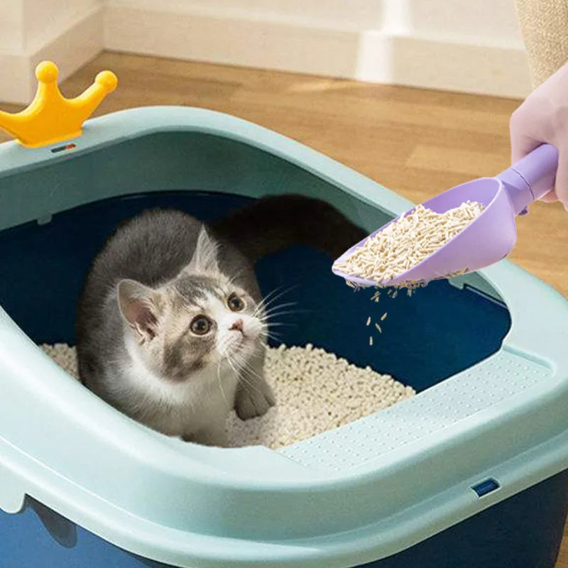 Gray and white kitten sitting in litter box while purple cat litter scoop adds wood pellet litter