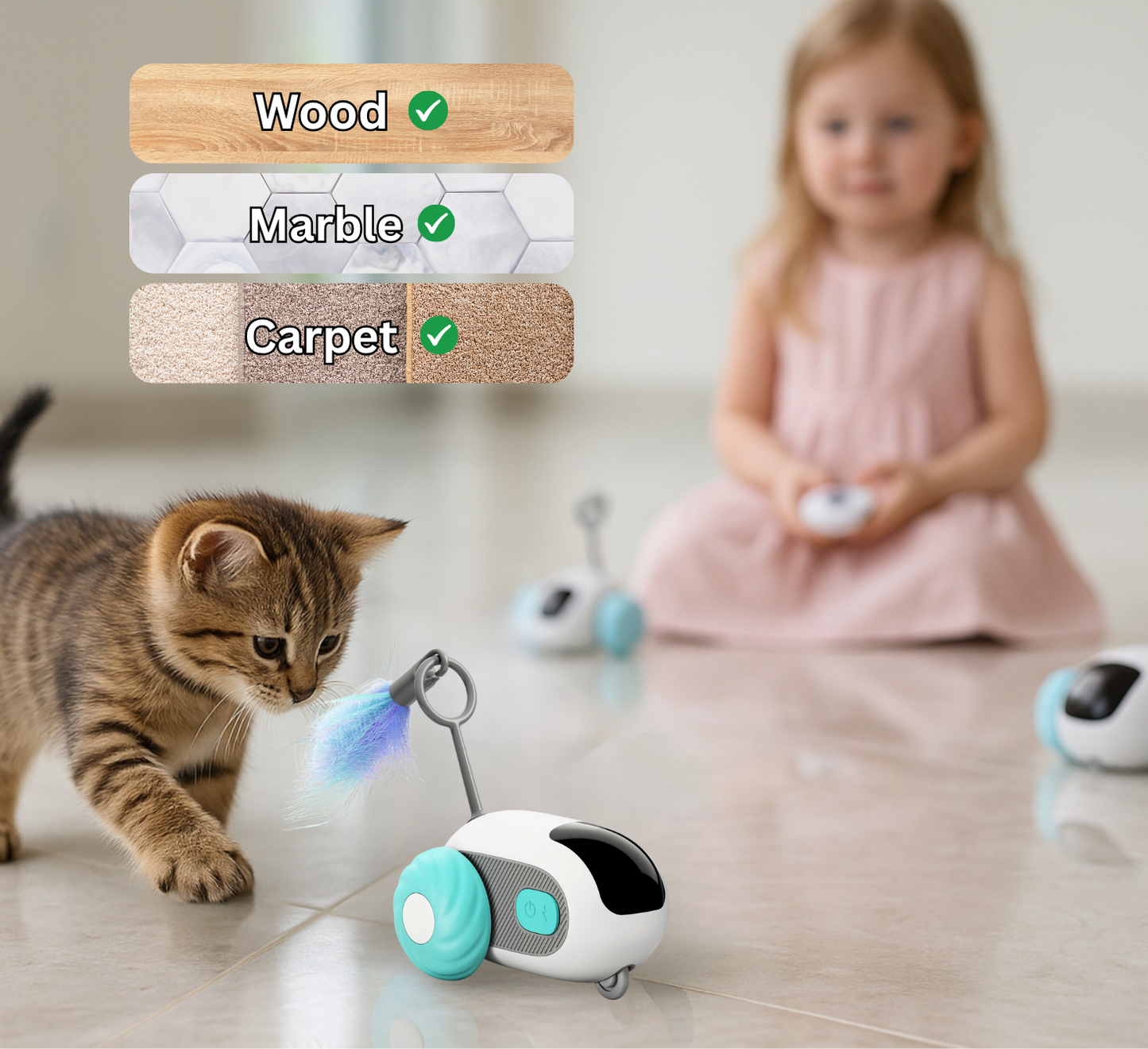 Crazy Joy Cat Toy