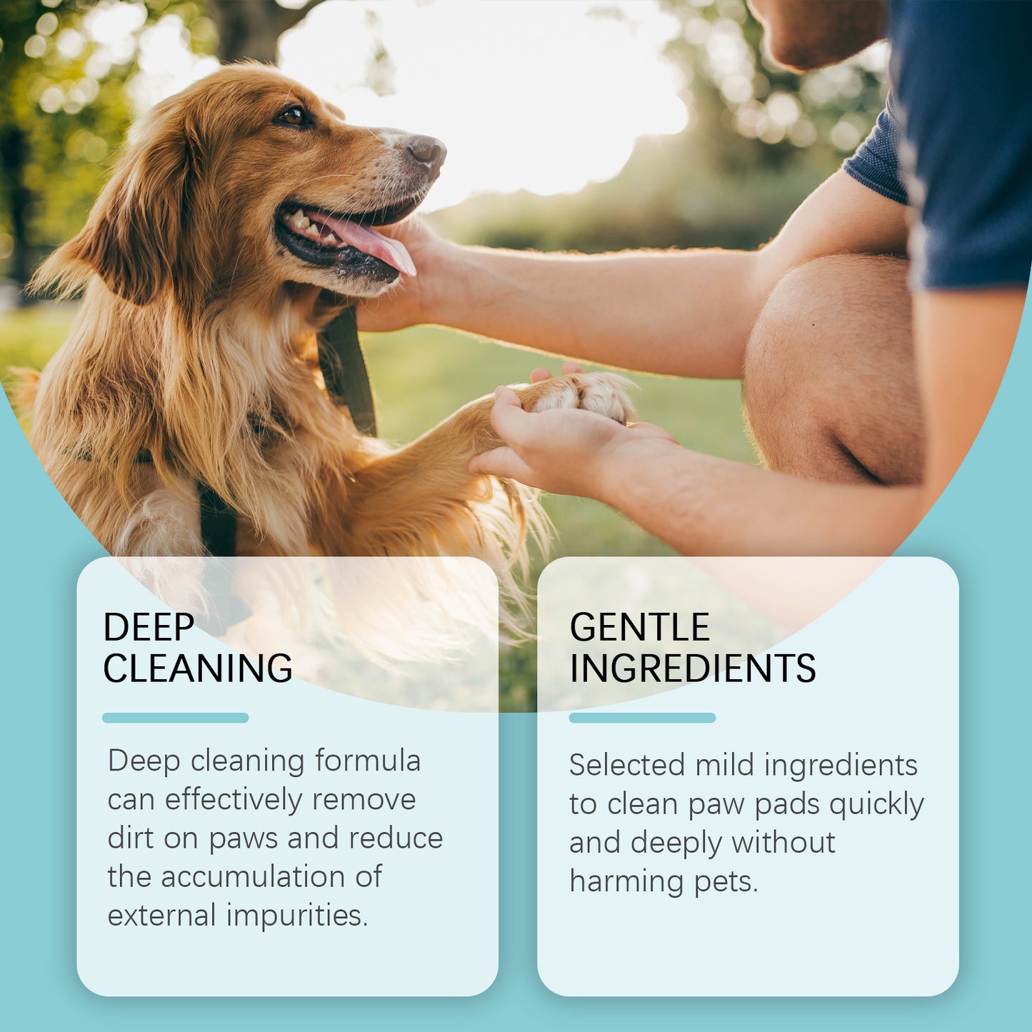 Dog being petted by a person with text about deep cleaning and gentle ingredients for paw pads.