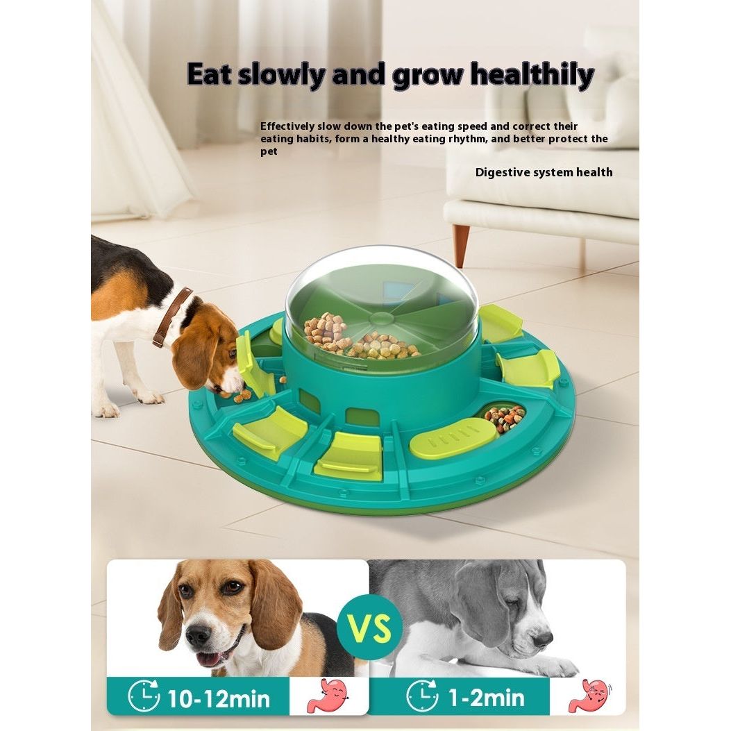 Dog using green interactive slow feeder bowl – comparison showing improved digestion and slower eating for healthy pets