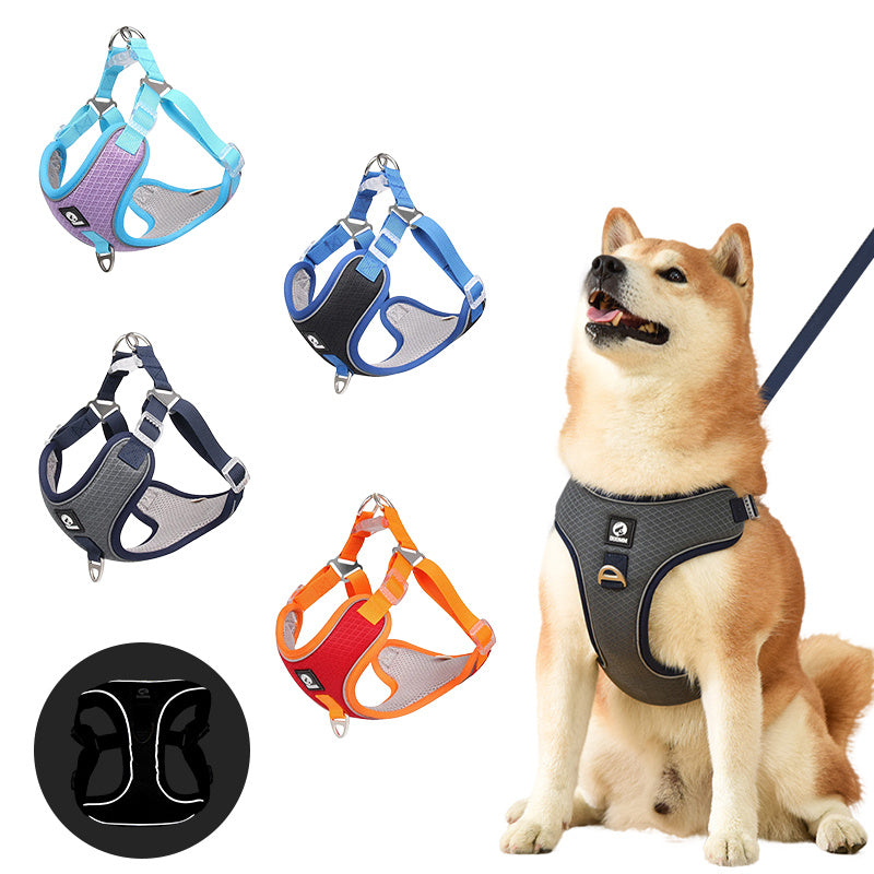 A collage of images showing a reflective adjustable dog harness in various colors and a happy dog wearing the harness.