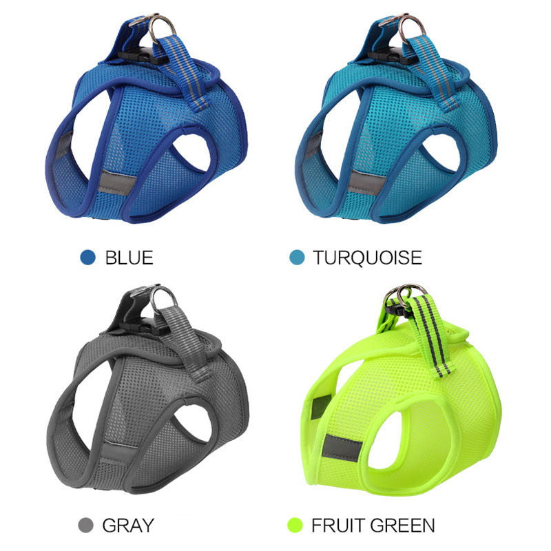 Four color options of DOTON breathable cat harness – blue, turquoise, gray, and fruit green. Lightweight mesh design with adjustable straps.
