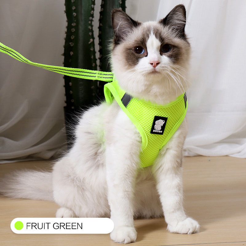 White cat in fruit green reflective DOTON harness with leash – side view