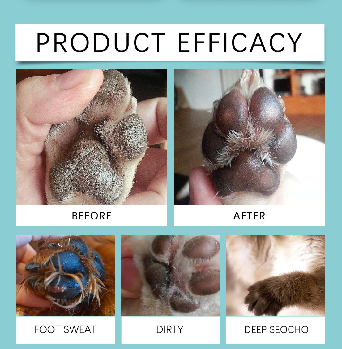 Before and after comparison of a dog's paw with text 'Product Efficacy' on a blue background.