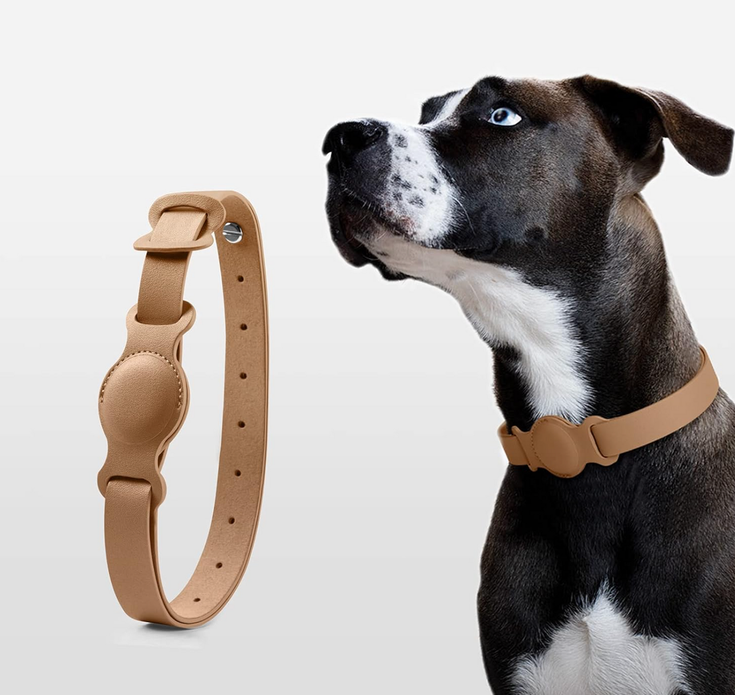 AirTag Leather Pet Collar