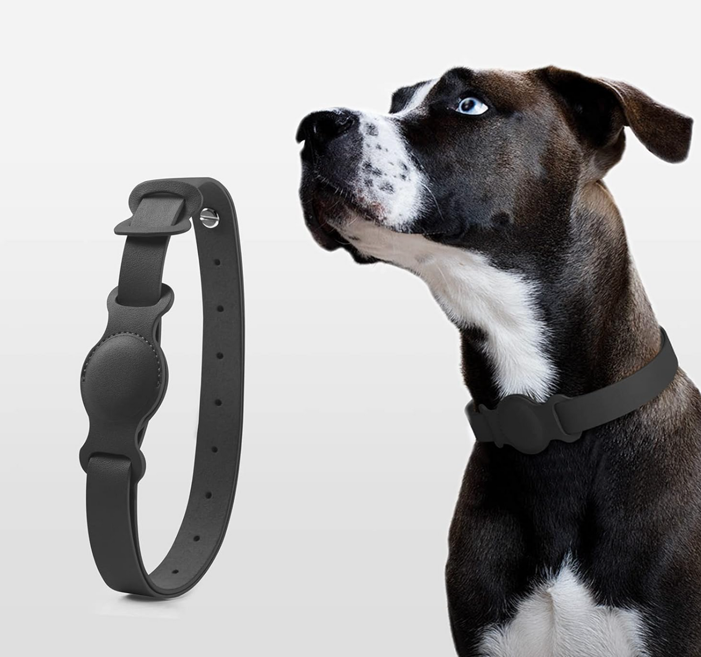 AirTag Leather Pet Collar
