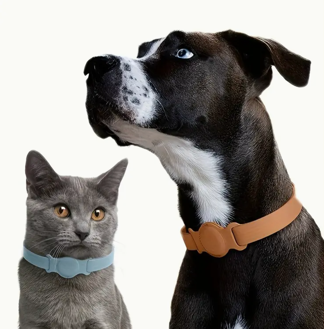 Dog and cat wearing collars on a white background