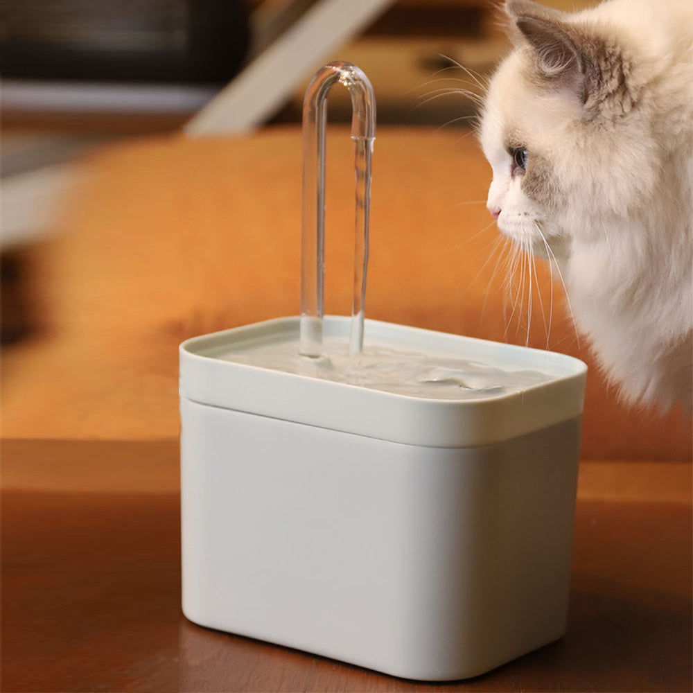 A cat looking at a silent 1.5L automatic pet water fountain with USB and auto filtration.