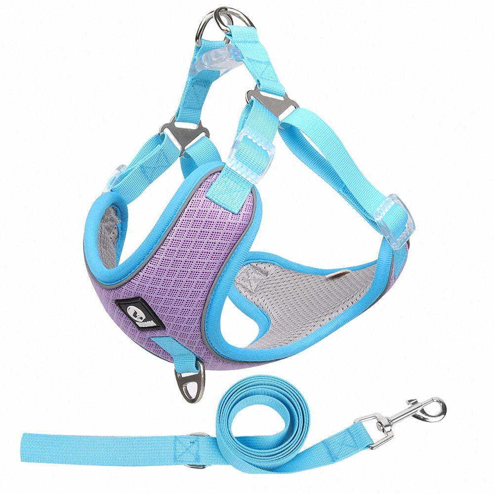 Adjustable no-pull dog harness with matching leash in blue and purple breathable mesh — comfortable and reflective for safe walks.