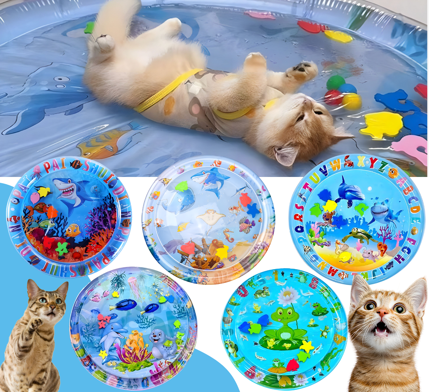 Cat playing in a small inflatable pool with colorful toy fish, surrounded by similar pools and toys.