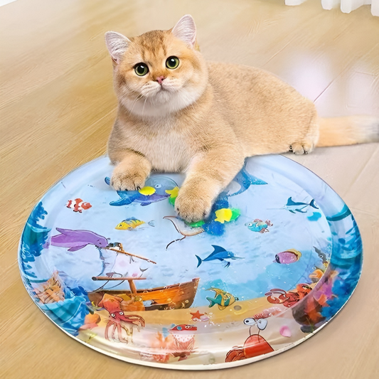 Cat sitting on a round mat with ocean-themed design