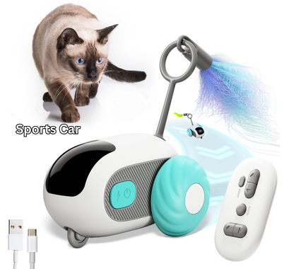 Crazy Joy Cat Toy