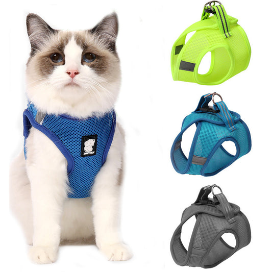 White Ragdoll cat wearing blue DOTON harness. Other color options shown: fruit green, turquoise, and gray. Ideal for walking and outdoor use.