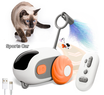 Crazy Joy Cat Toy