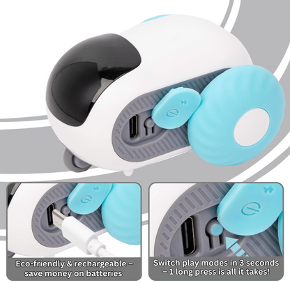 Crazy Joy Cat Toy
