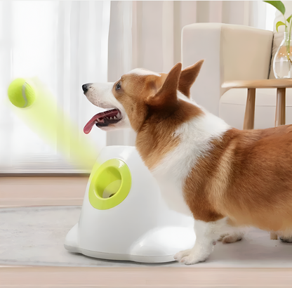 Dog interacting with a green and white pet toy on a light-colored floor.