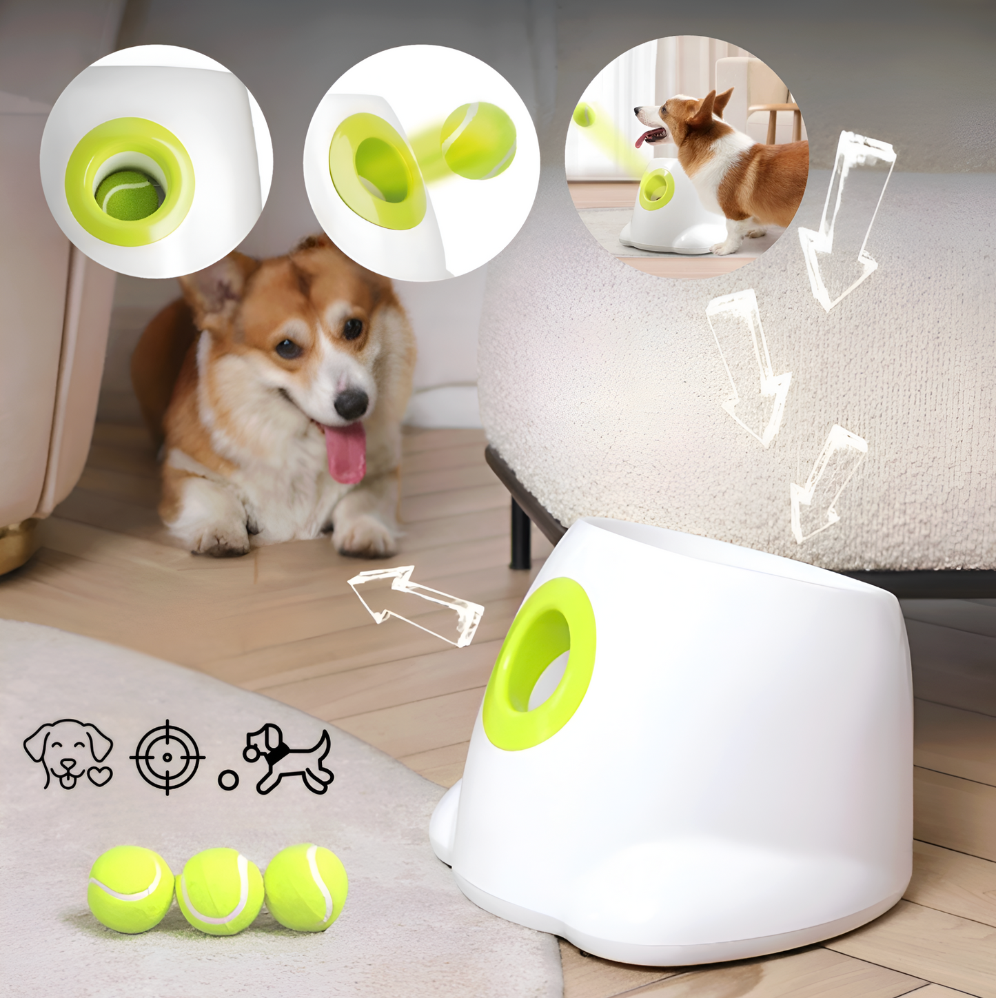 Dog playing with a toy dispenser and tennis balls on a wooden floor.