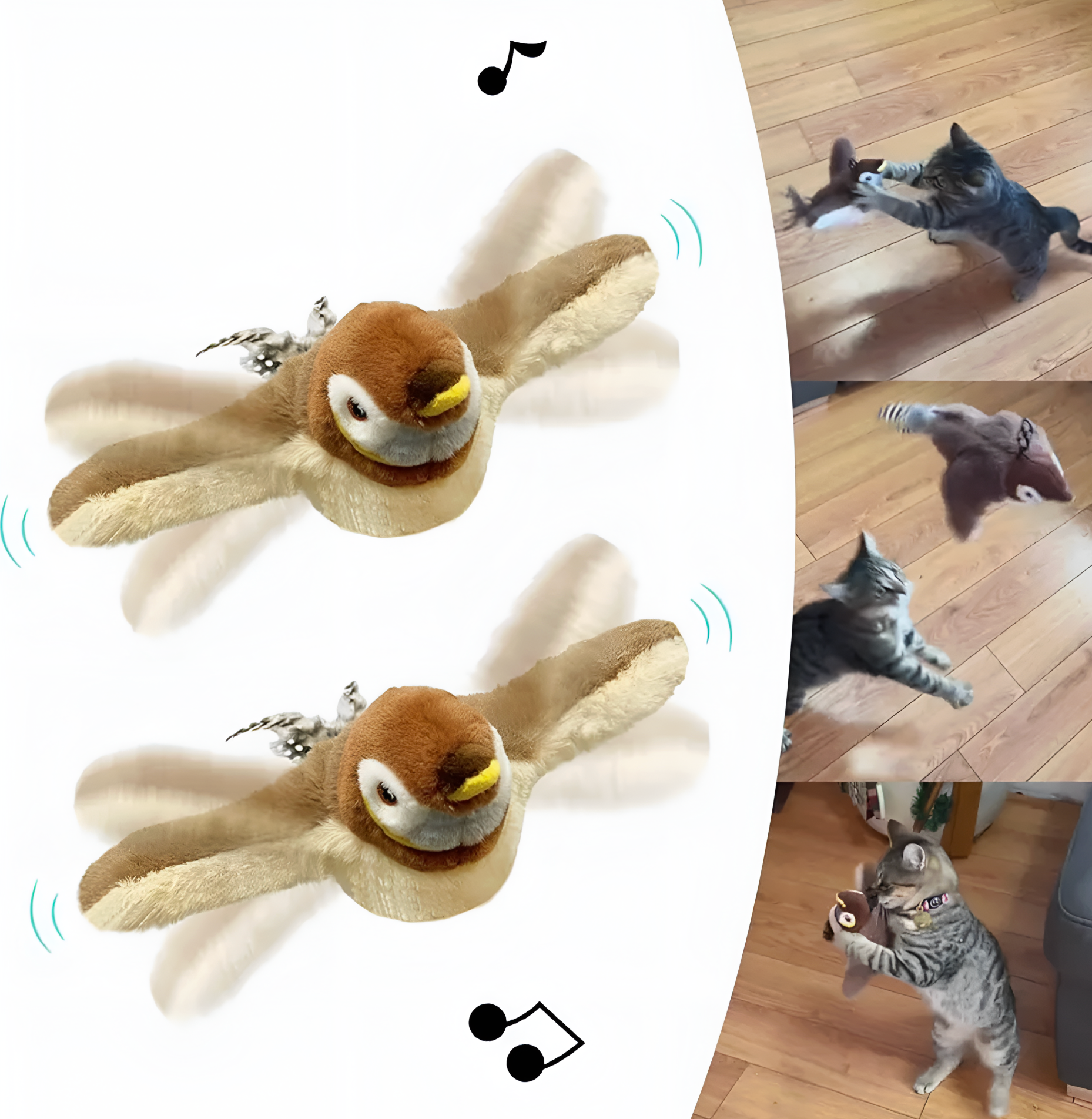 Collage of a plush bird toy with music notes and a cat playing with it on a wooden floor.