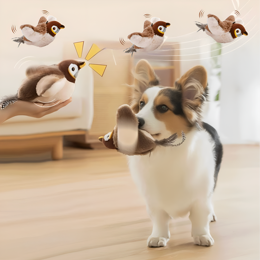 Dog playing with a toy resembling birds in a living room setting