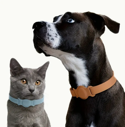 Dog and cat wearing collars on a white background