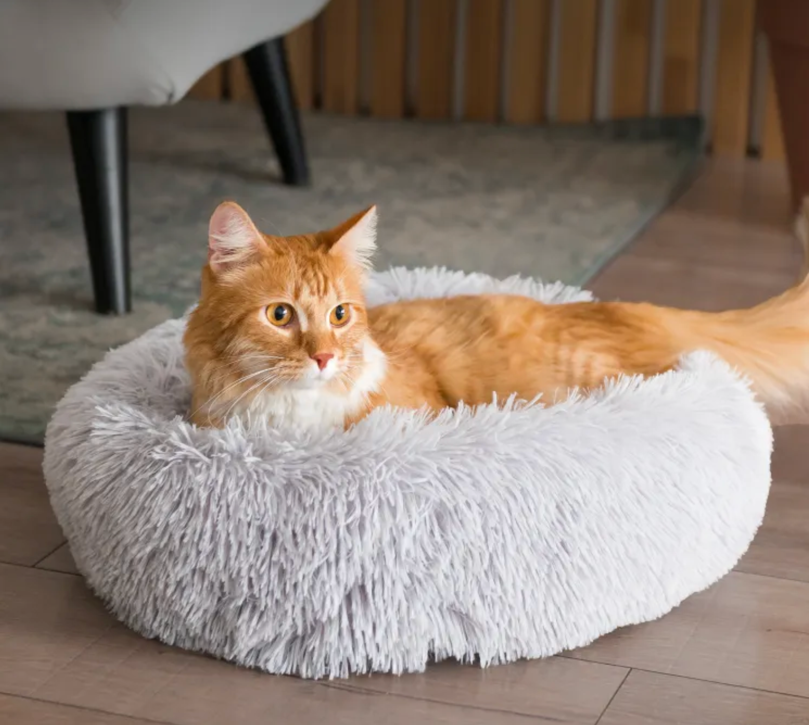 Orange cat lying on a fluffy white pet bed indoors.