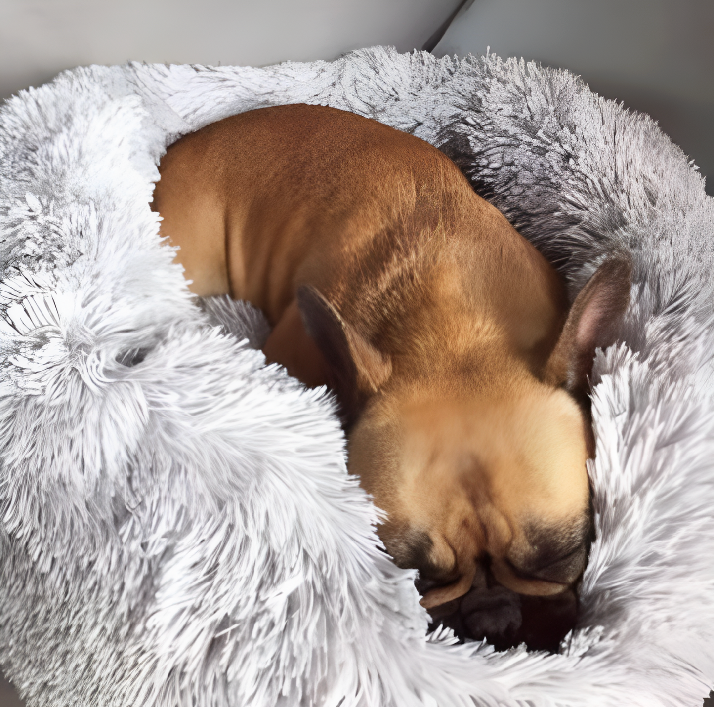 Dog lying on a fluffy white pet bed