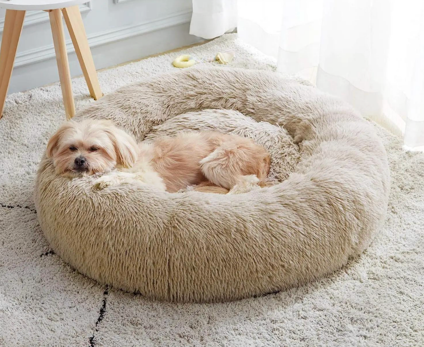 Dog lying on a fluffy beige pet bed in a room with a white rug and wooden furniture.