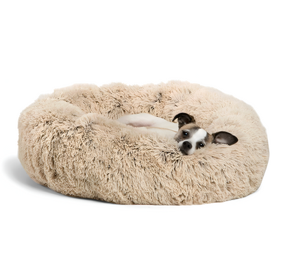 Dog lying on a fluffy beige pet bed against a white background