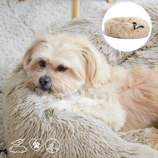 Dog lying on a fluffy pet bed with an inset showing a close-up of the product.