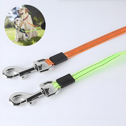 Two dog leashes with metal clips on a white background, one orange and one green.