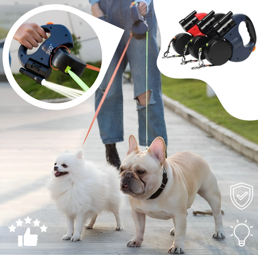 Two dogs on a leash with a person walking them, featuring a close-up of a dog leash handle and multiple leash handles.