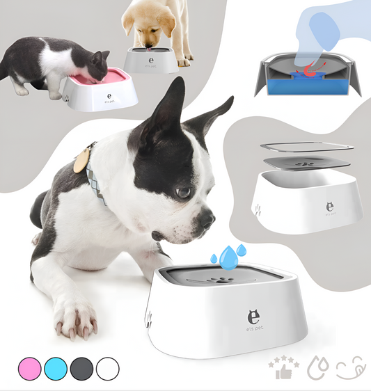Pet bowls with a dog drinking from one, surrounded by various pet products on a light gray background.