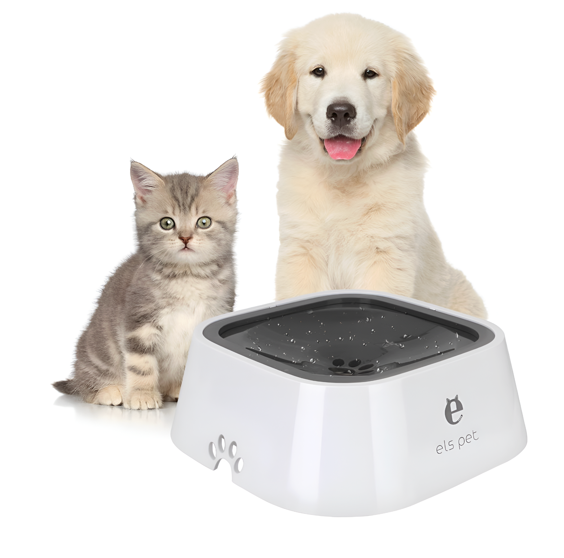Cat and dog sitting next to a white pet water fountain on a white background