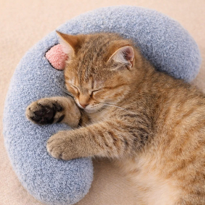 Cat sleeping on a blue plush donut-shaped pillow with a pink heart on a beige background