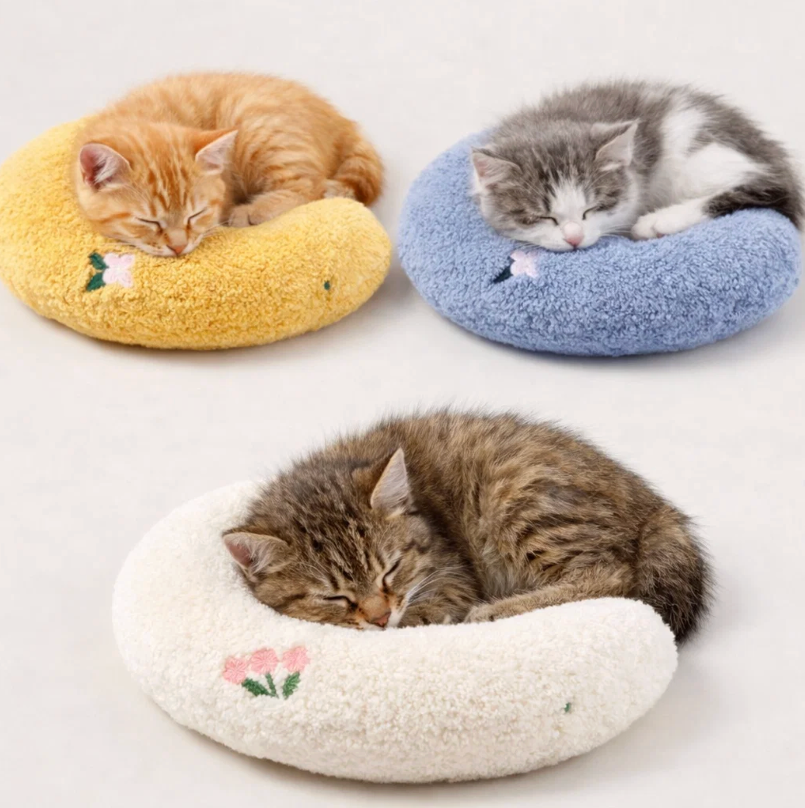 Three cats sleeping on round, plush cat beds in yellow, blue, and white.