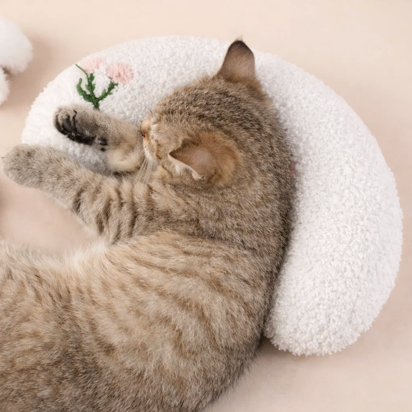 Cat sleeping on a fluffy white cushion with a small plant decoration.
