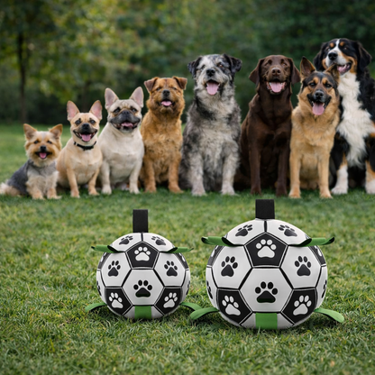 Group of dogs sitting on grass with two large dog toys resembling soccer balls with paw prints.