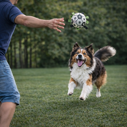 Dog running towards a soccer ball toy being thrown by a person in a grassy field.
