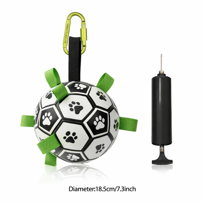Soccer ball-shaped pet toy with green straps and a pump on a white background