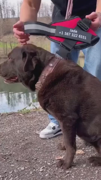 No-Pull Dog Harness