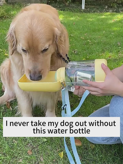 Golden retriever drinking from portable dog water bottle – travel pet accessory.

